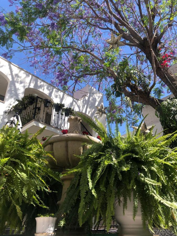 Casa Lani Luxury B&B San Miguel de Allende Kültér fotó
