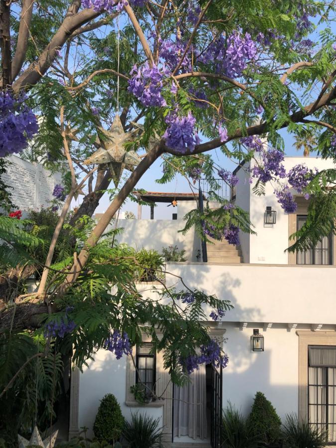 Casa Lani Luxury B&B San Miguel de Allende Kültér fotó