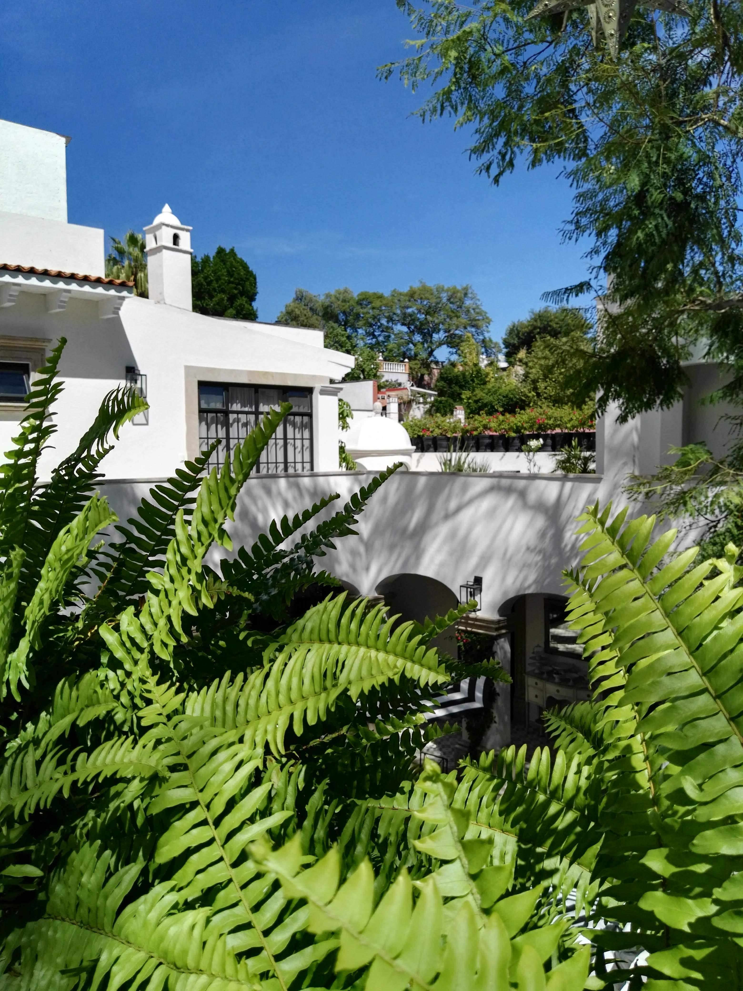 Casa Lani Luxury B&B San Miguel de Allende Kültér fotó