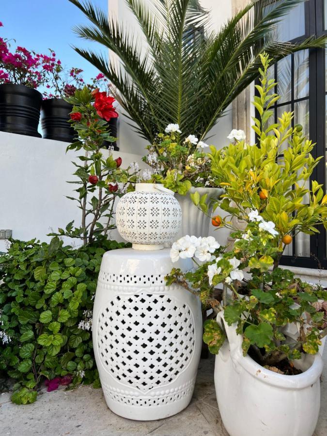 Casa Lani Luxury B&B San Miguel de Allende Kültér fotó