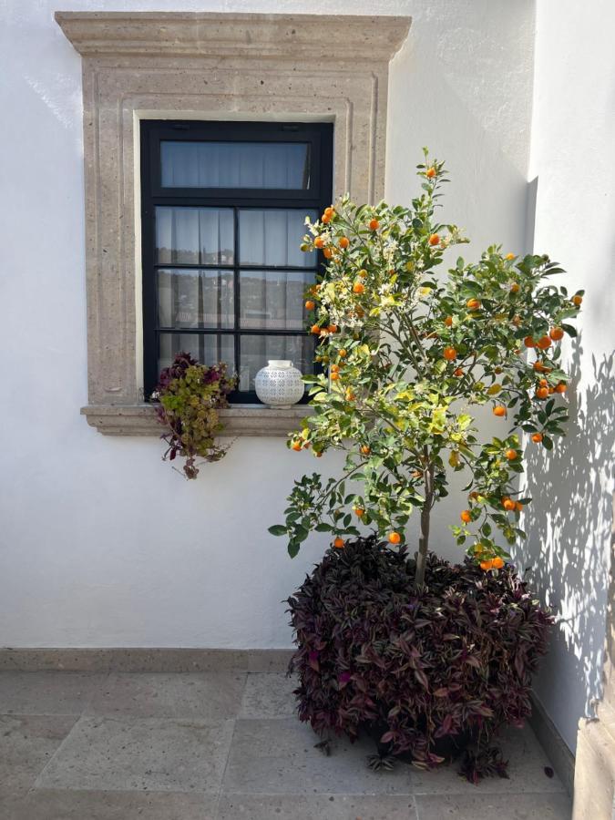 Casa Lani Luxury B&B San Miguel de Allende Kültér fotó